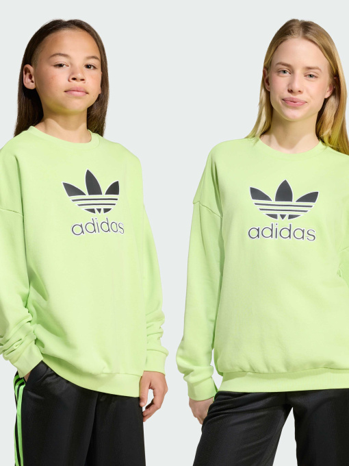 Худи и свитшоты Adidas Adicolor модель JV8573 Фото