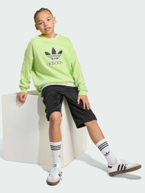 Худі та світшоти Adidas Adicolor модель JV8573 Фото