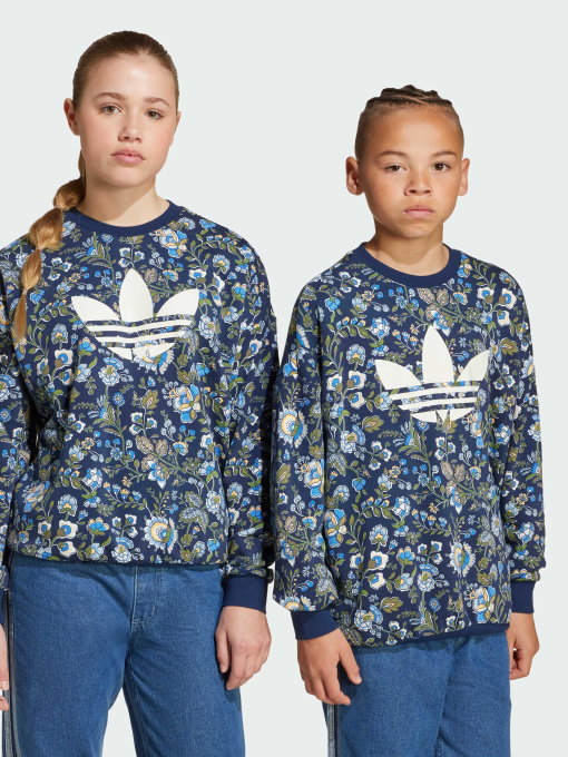 Худи и свитшоты Adidas Graphics модель JX6316 Фото