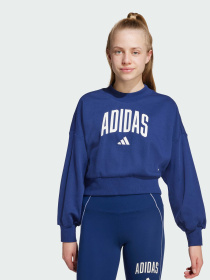 Худі та світшоти Adidas модель JM1535 Фото