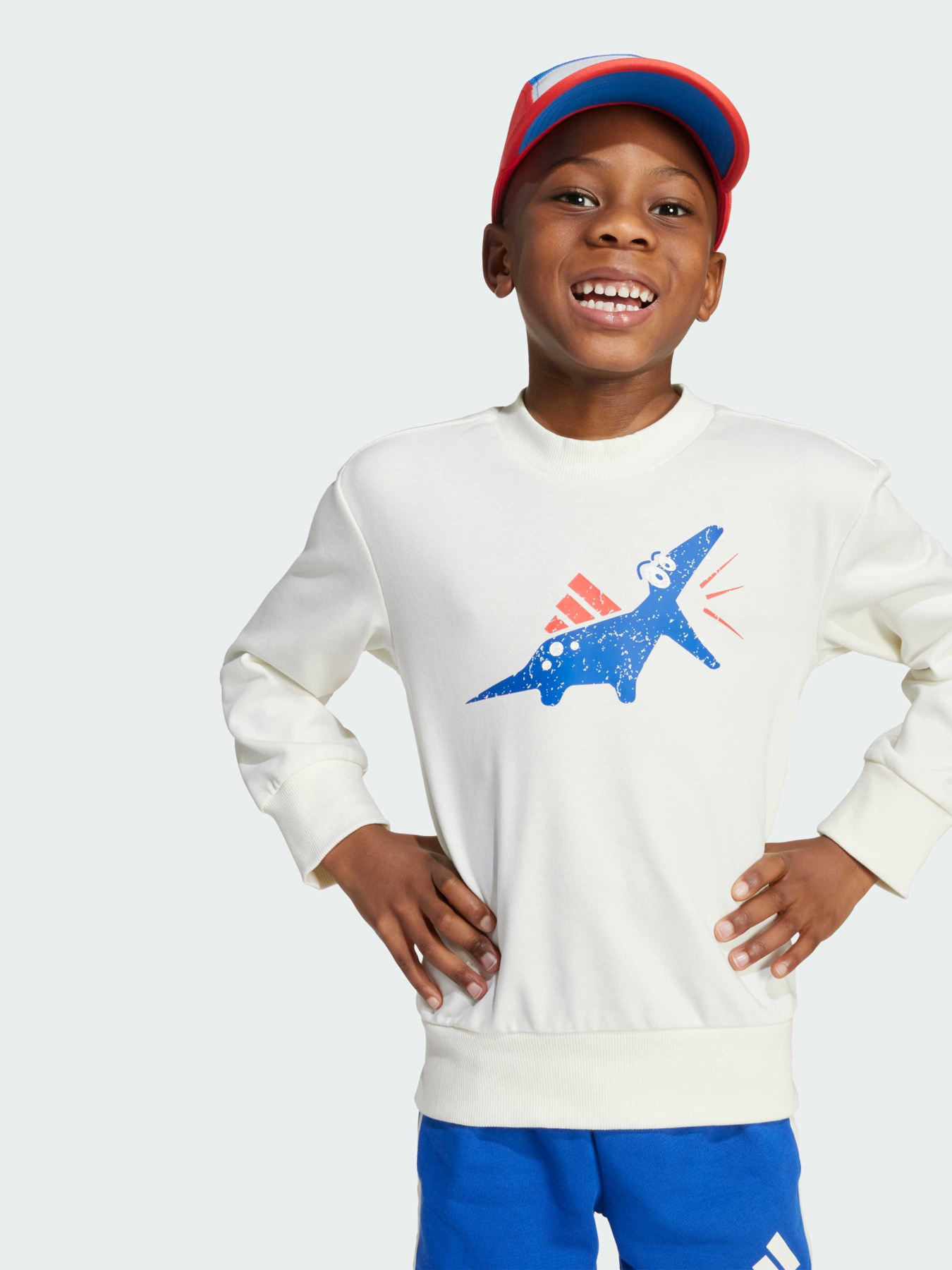 Костюмы Adidas модель JV5848 Фото