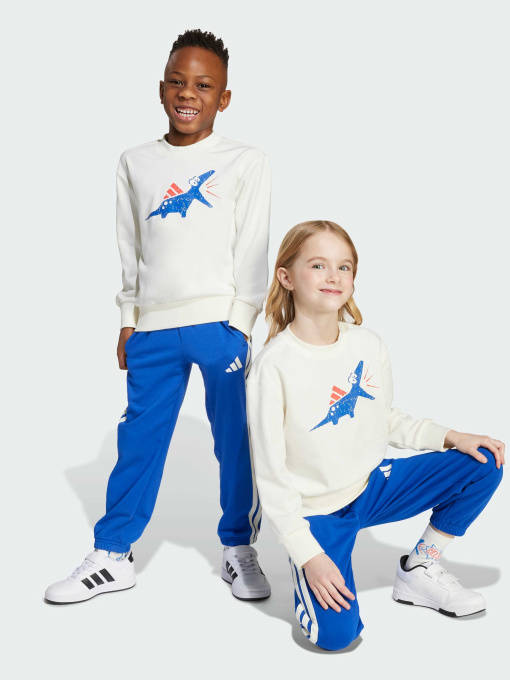 Костюми Adidas модель JV5848 Фото