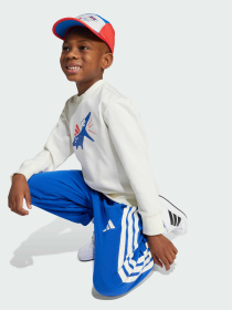 Костюмы Adidas модель JV5848 Фото