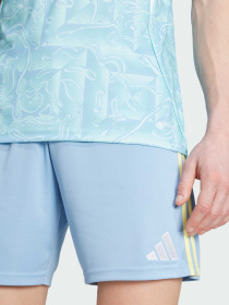 Шорты Adidas модель JJ4325 Фото