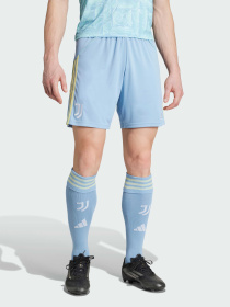 Шорты Adidas модель JJ4325 Фото