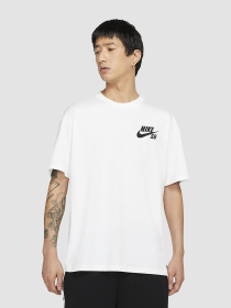 Футболки і поло NIKE Sb Chino Shorts модель DC7817-100 Фото