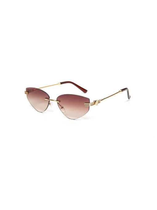 Окуляри LuckyLOOK модель LL2933534723863 Фото