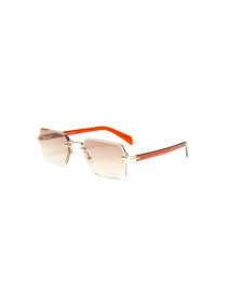 Окуляри LuckyLOOK модель LL2933534724488 Фото