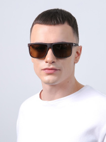 Очки LuckyLOOK модель LL2933534732735 Фото