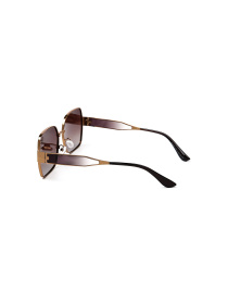 Очки LuckyLOOK модель LL2933534771628 Фото
