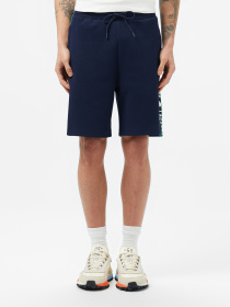Шорти Lacoste модель GH0512166 Фото