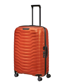 Дорожные сумки и чемоданы Samsonite модель CW602003 Фото