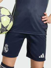 Шорти Adidas модель JP3945 Фото