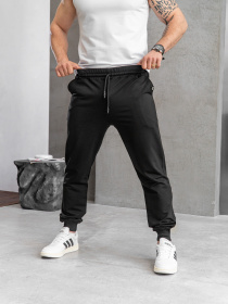 Брюки TeamV модель 101-2 Фото