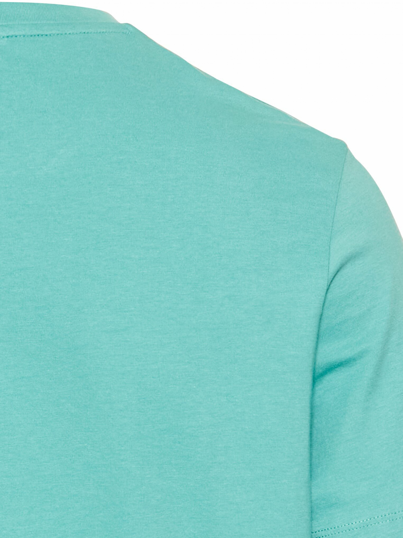 Футболки и поло Camel Active T-shirt 1/2 arm модель 409700-5T02-71 Футболки и поло Camel Active T-shirt 1/2 arm модель 409700-5T02-71 Фото