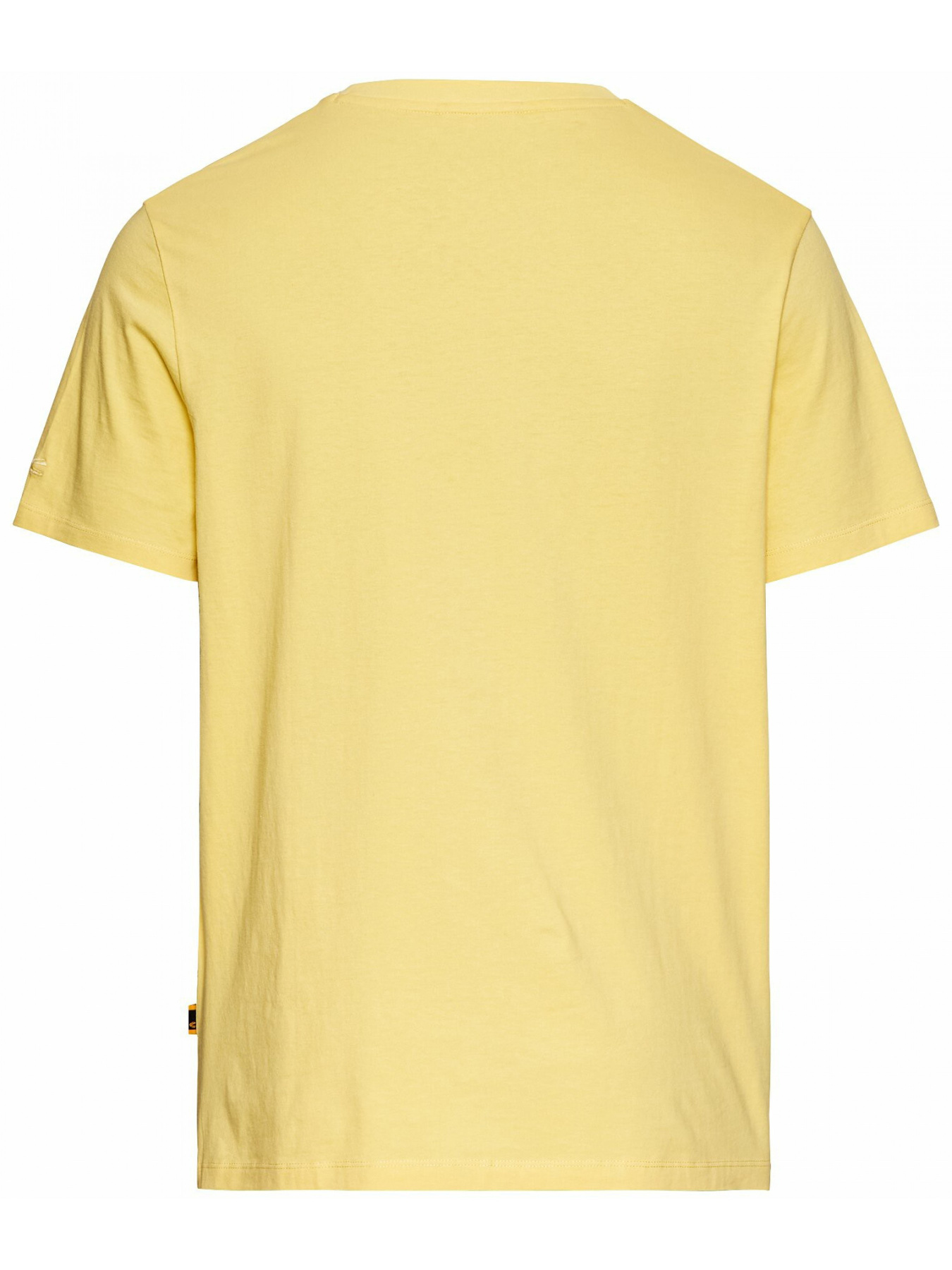 Футболки і поло Camel Active T-shirt 1/2 arm модель 409700-5T02-62 Фото