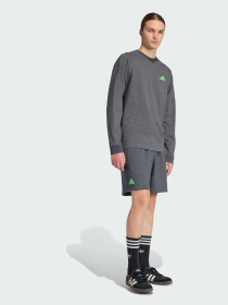 Шорты Adidas модель JZ2213 Фото