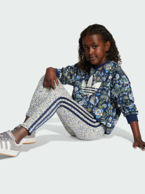 Костюмы Adidas Graphics модель JV7804 Фото