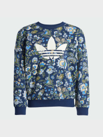 Костюмы Adidas Graphics модель JV7804 Фото