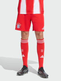 Шорты Adidas модель JJ2133 Фото