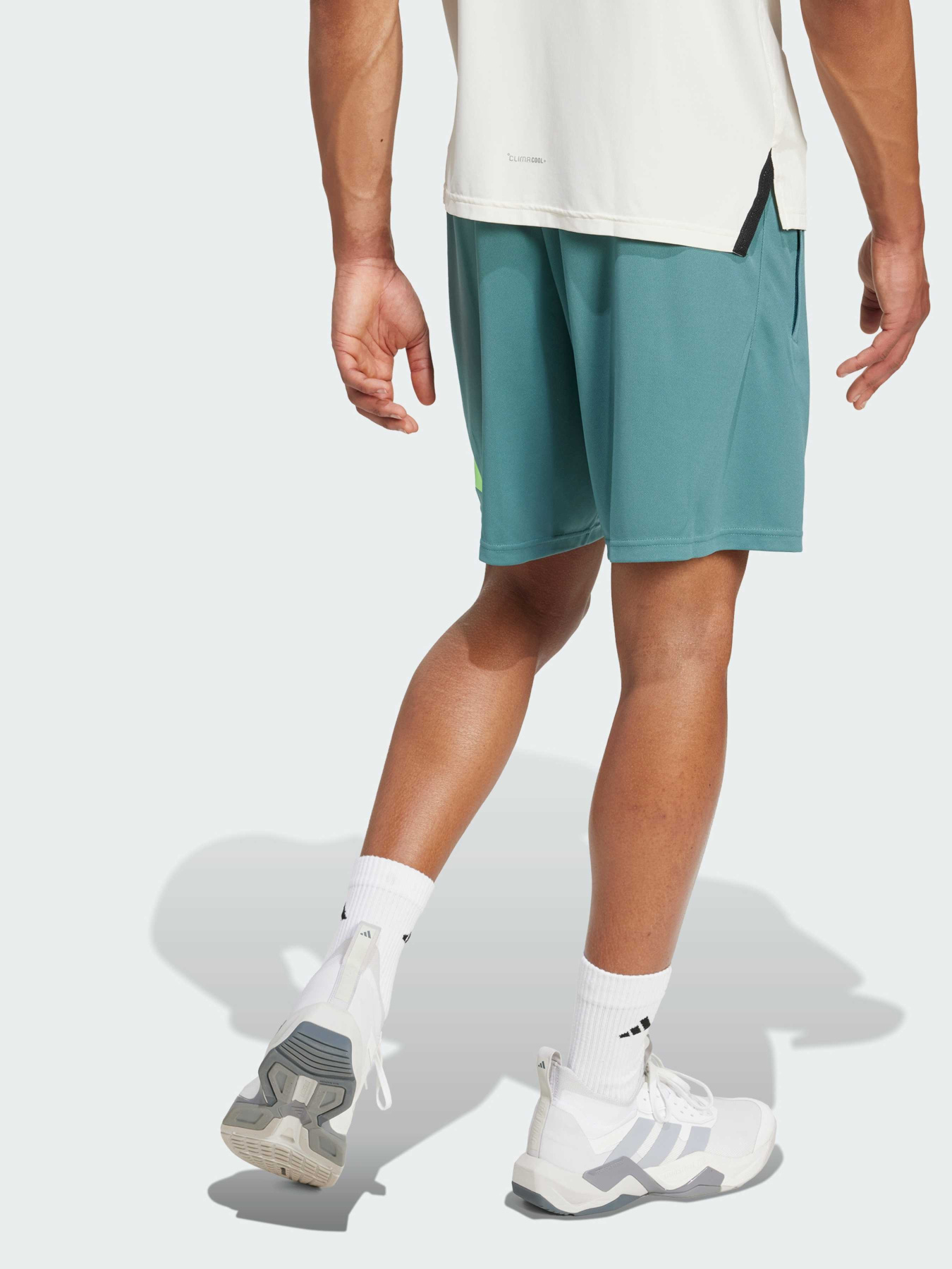 Шорти Adidas модель JX2738 Фото