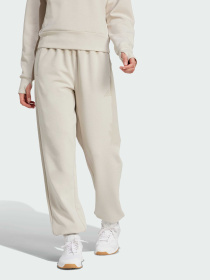 Штани Adidas Clima модель JW3398 Фото