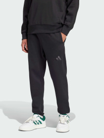 Штани Adidas модель IX1246 Фото
