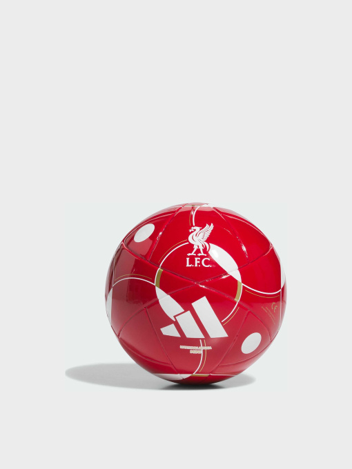 М'ячі Adidas модель JY6165 Фото