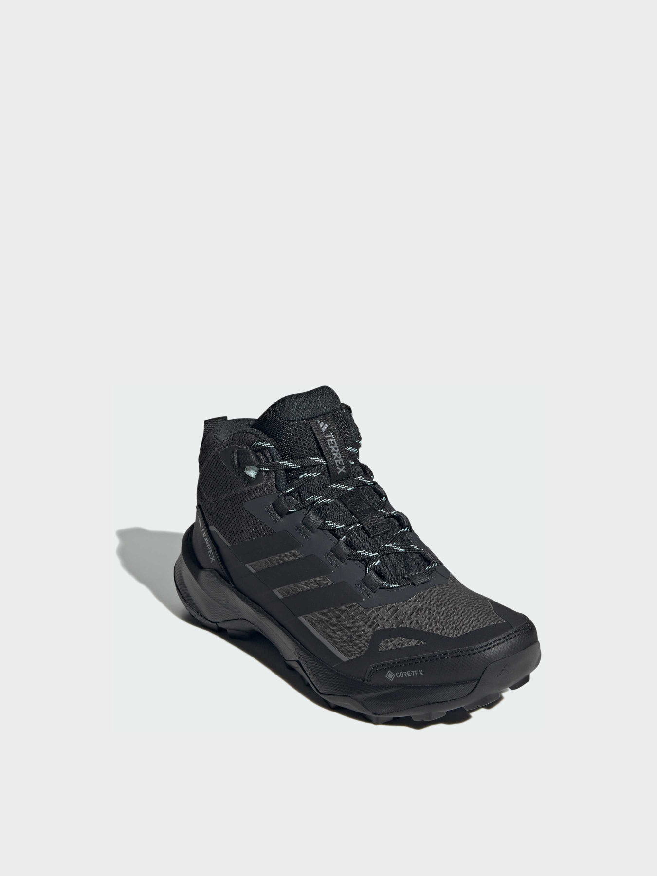 Ботинки и сапоги Adidas Terrex модель JQ2219 Фото