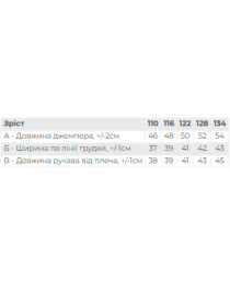 Худи и свитшоты Носи своє модель 6363-036-33-4-1-srij-polin-sprunki Фото