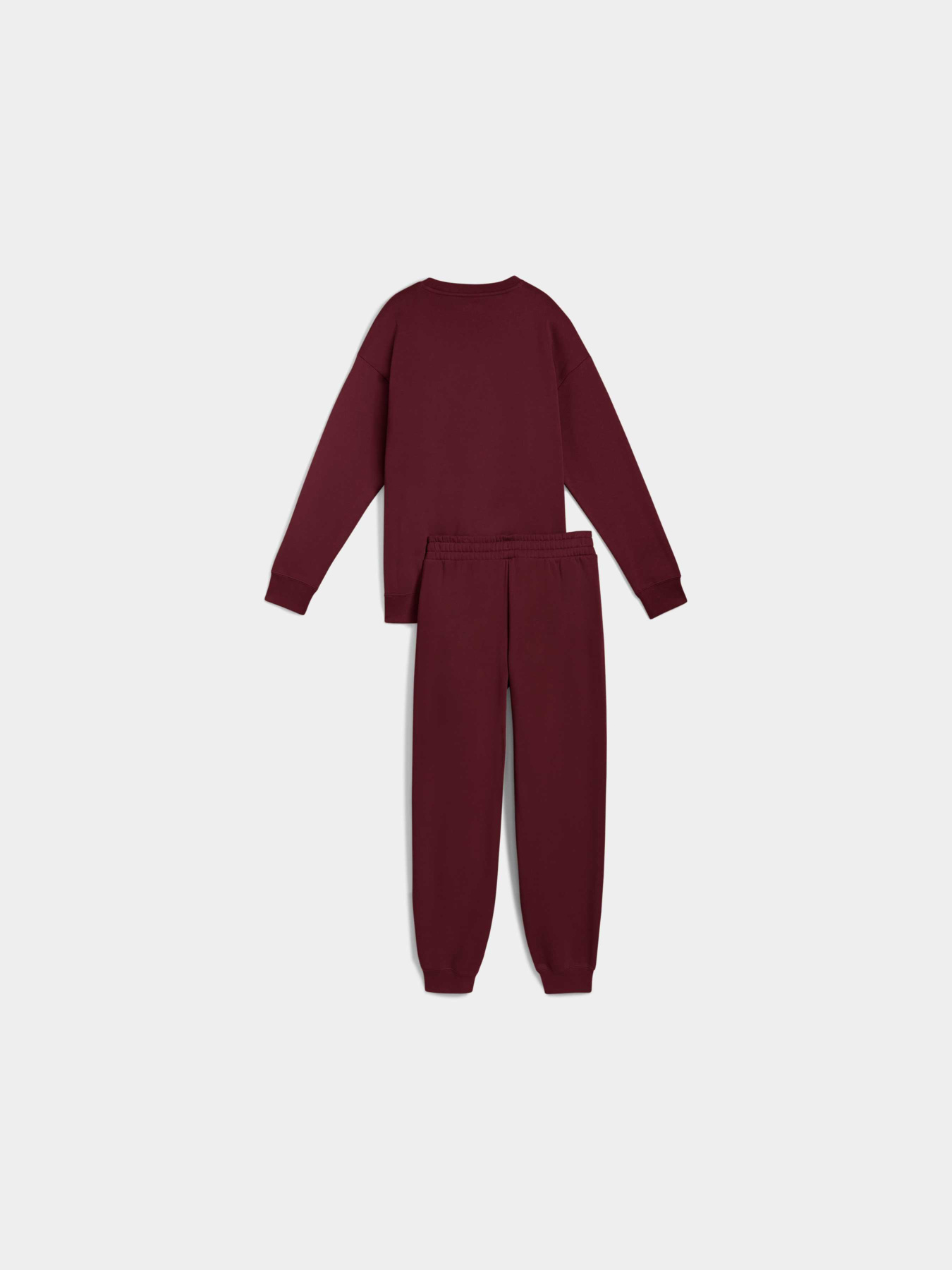 Костюмы PUMA Sweat Suit Relaxed Fl модель 688160 Фото