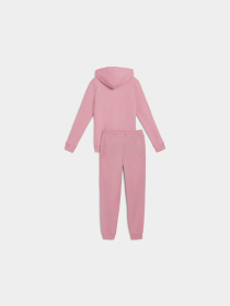 Костюми PUMA Hooded Sweat Suit модель 688162 Фото