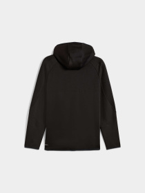 Худі та світшоти PUMA Evostripe Fz Hoodie Dk модель 688231 Фото