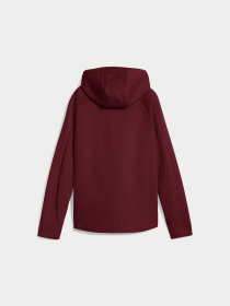 Худи и свитшоты PUMA Evostripe Full-zip Hoodie модель 688141 Фото