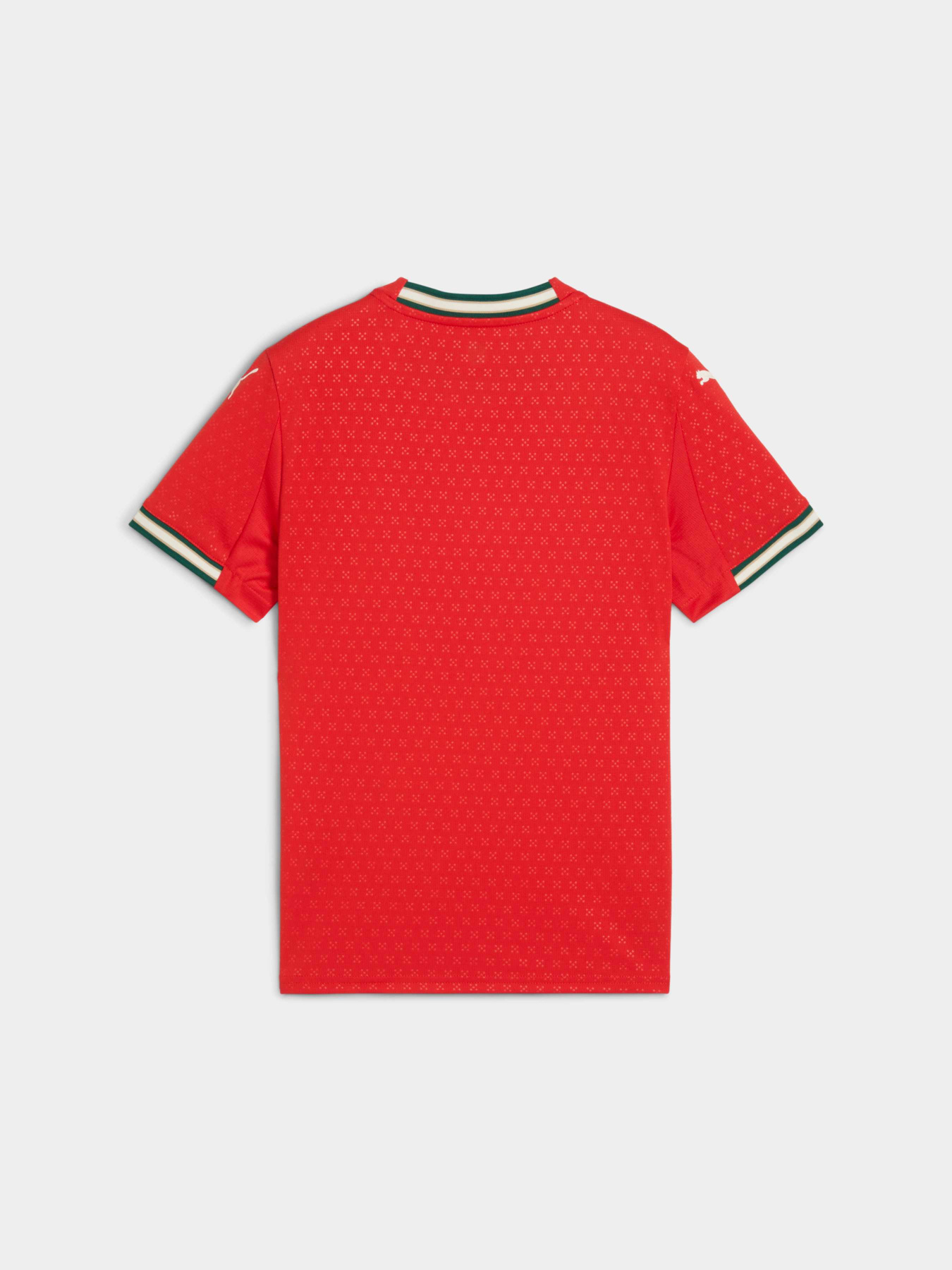 Футболки и поло PUMA Fpf Home Jersey Replica Jr модель 779193 Футболки и поло PUMA Fpf Home Jersey Replica Jr модель 779193 Фото