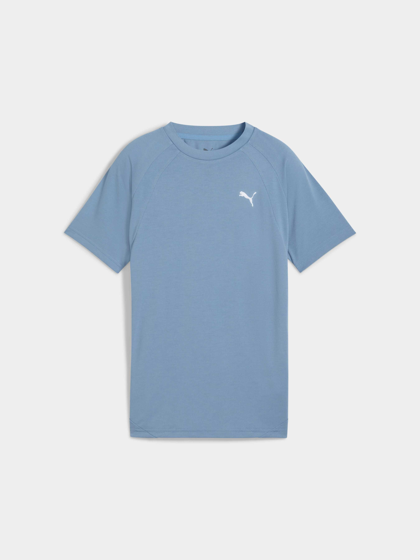 Футболки і поло PUMA Evostripe Tee модель 688862 Фото