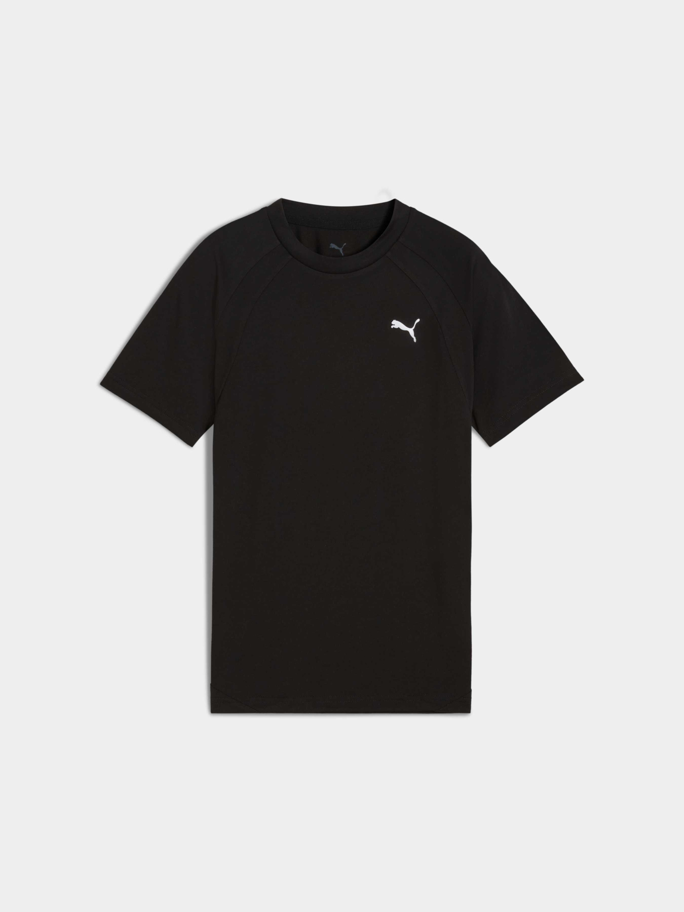 Футболки і поло PUMA Evostripe Tee модель 688862 Фото
