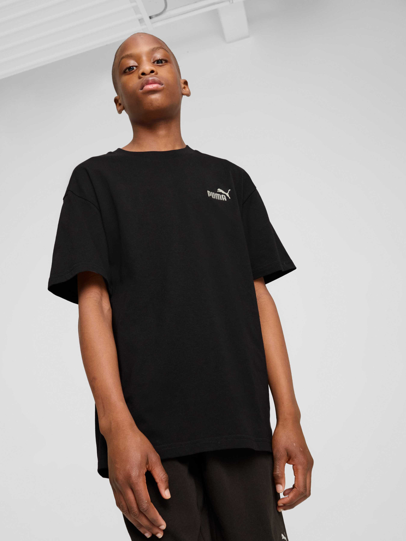 Футболки і поло PUMA Ess Small No. 1 Logo Tee модель 684920 Фото