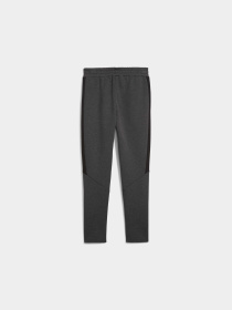 Брюки PUMA Evostripe Core Pants модель 631533 Фото