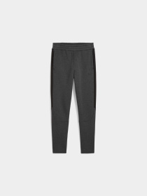 Штани PUMA Evostripe Core Pants модель 631533 Фото
