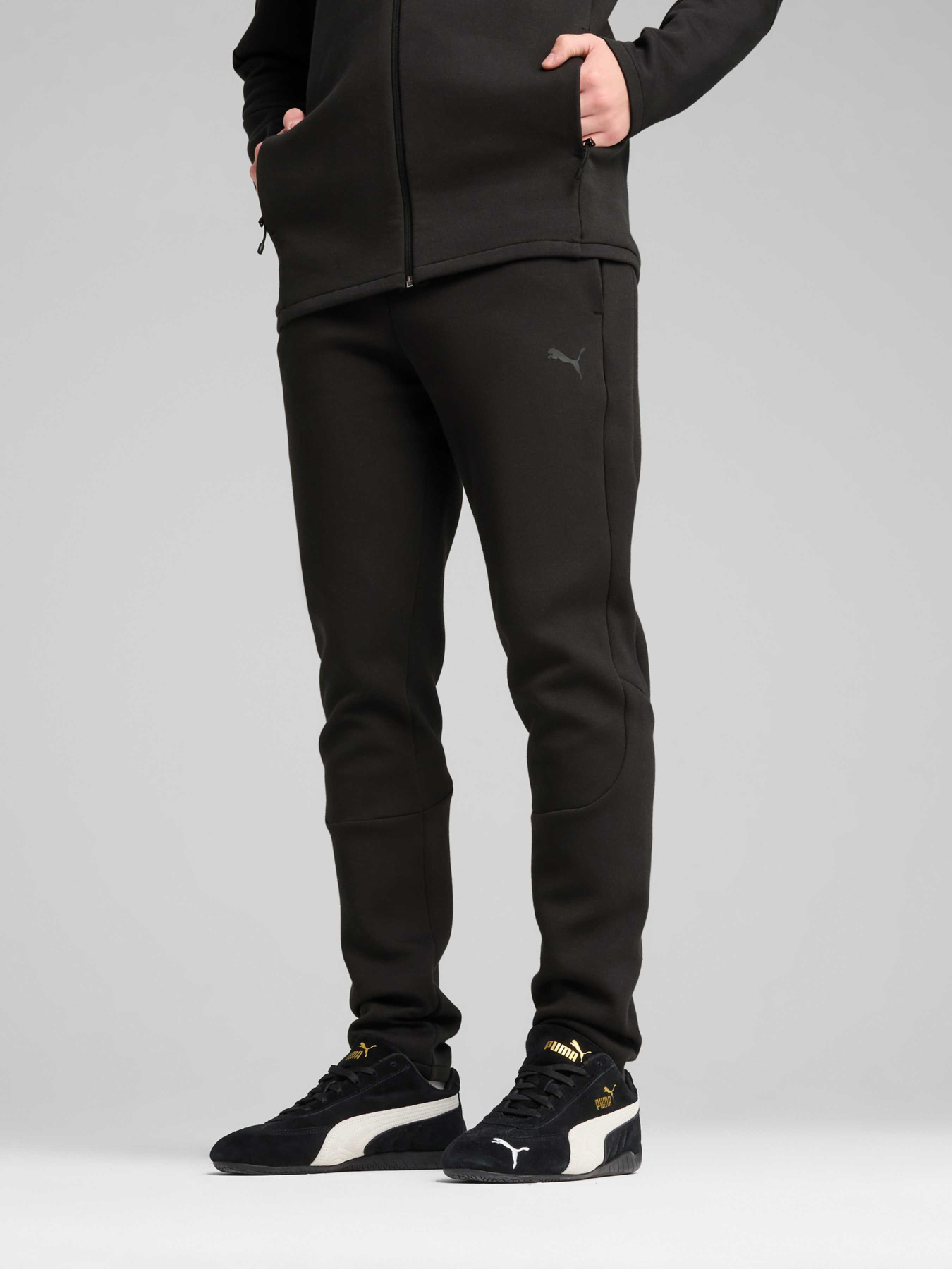 Штани PUMA Evostripe Core Pants модель 631533 Фото