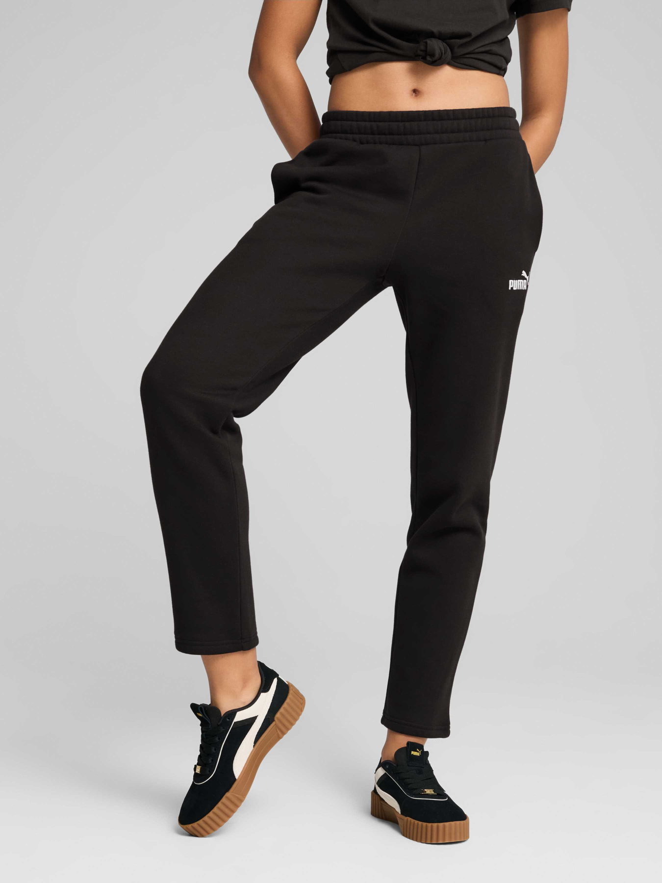 Штани PUMA Ess No. 1 Logo Sweatpants модель 682452 Фото