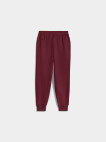 Штани PUMA Bmw Mms Ess+ Pants Fleece модель 627499 Фото