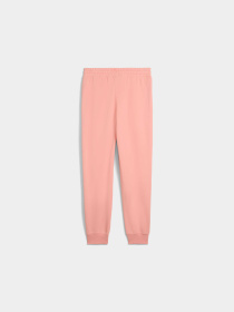 Штани PUMA Class Sweatpants модель 685037 Фото