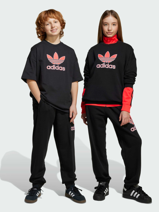Штани Adidas Adicolor модель JV7781 Фото