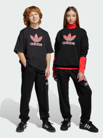 Штани Adidas Adicolor модель JV7781 Фото