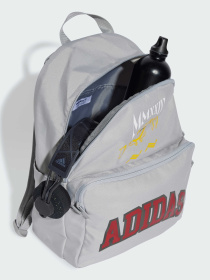 Рюкзаки Adidas Graphics модель IX7478 Фото