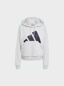 Худі та світшоти Adidas модель JN1844 Фото