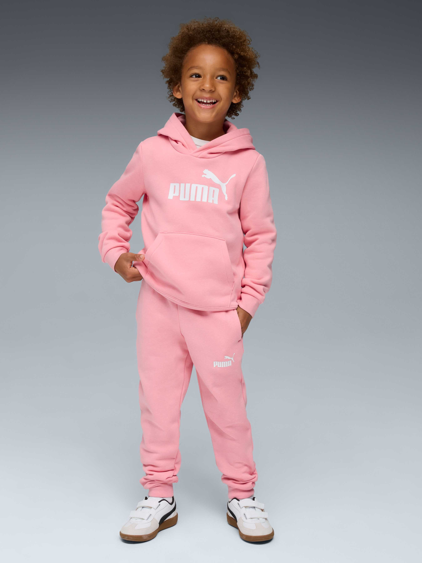 Костюмы PUMA Ess No.1 Logo Sweat Suit модель 685238 Фото