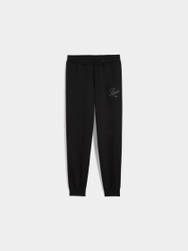 Брюки PUMA Ess Script Sweatpants модель 688729 Фото